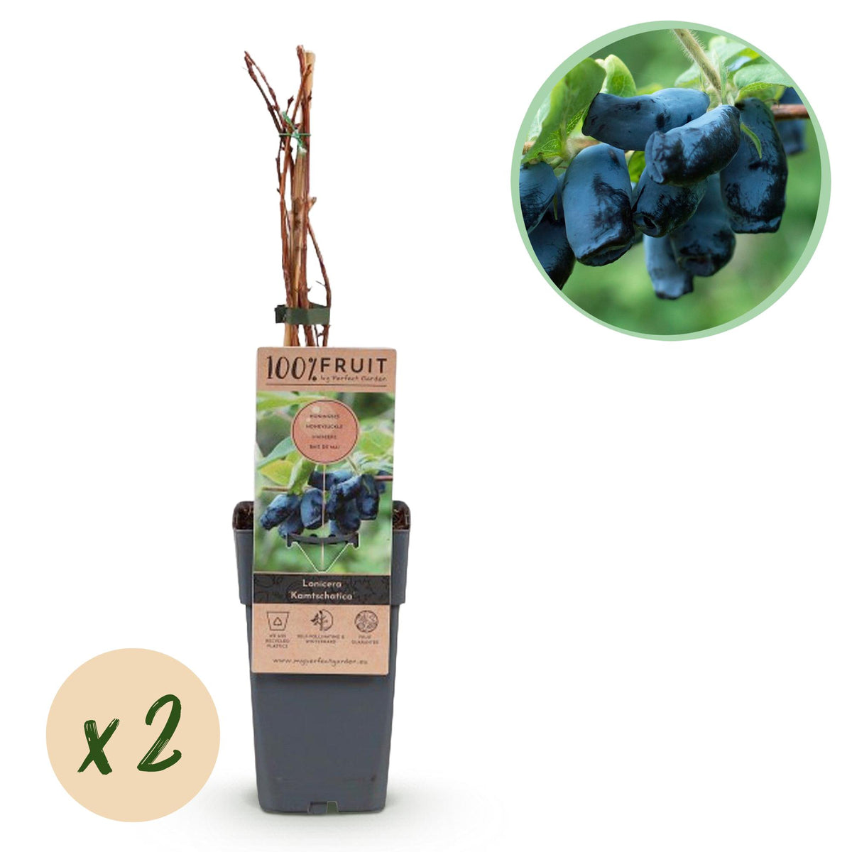 Productafbeelding van Pureplant