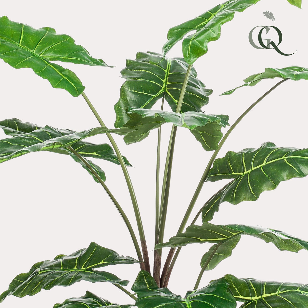 Kunstplant Alocasia, olifantsoor met pijlvormig blad, 150 cm, groene bladeren