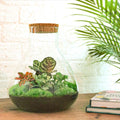 Productfoto van DIY terrarium Sam XL Red met licht, hark, schep, pincet