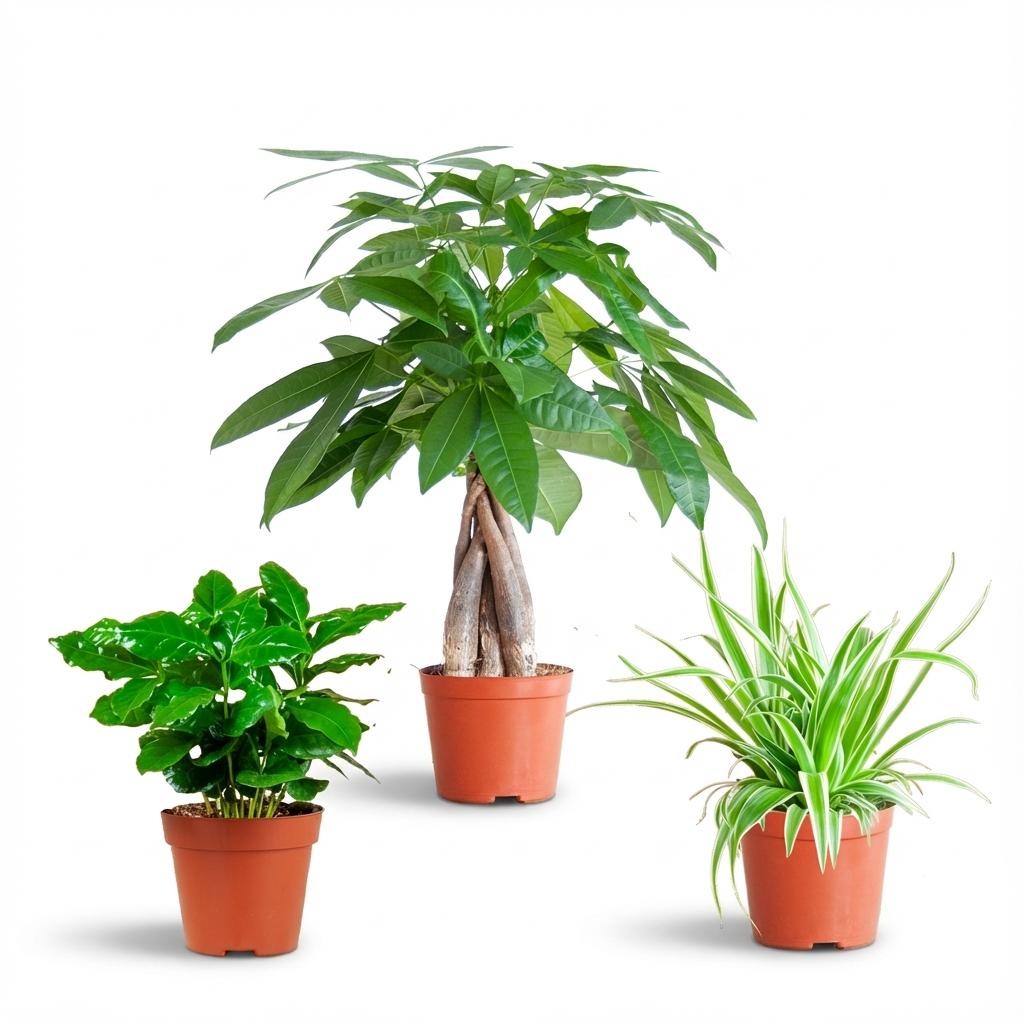 Diervriendelijke Plantenbox - klein - zonder sierpot, detail van het blad