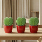 Sweetheart Plant Set - Mini Gift - Pot & Plant Set - Rood, detail van het blad