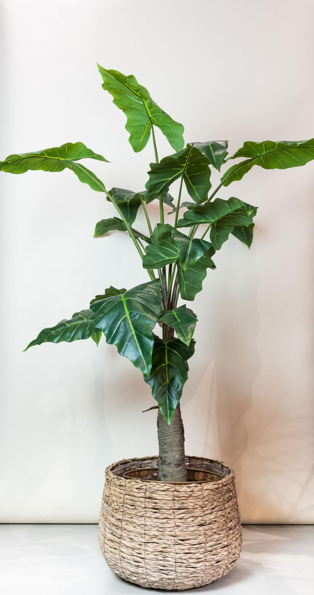 Kunstplant Alocasia, olifantsoor met pijlvormig blad, 150 cm, plant in pot