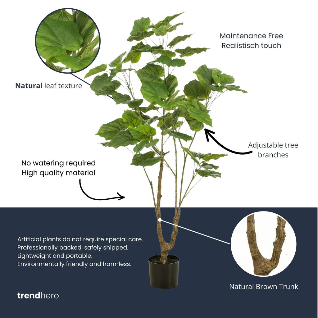 Ficus Umbrella boom, kenmerkend blad