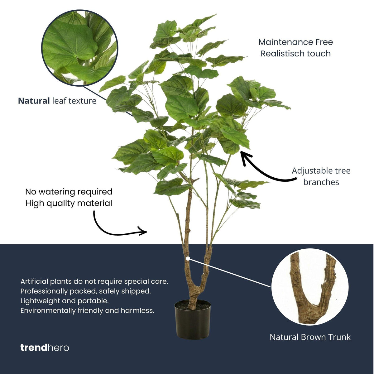 Ficus Umbrella boom, kenmerkend blad