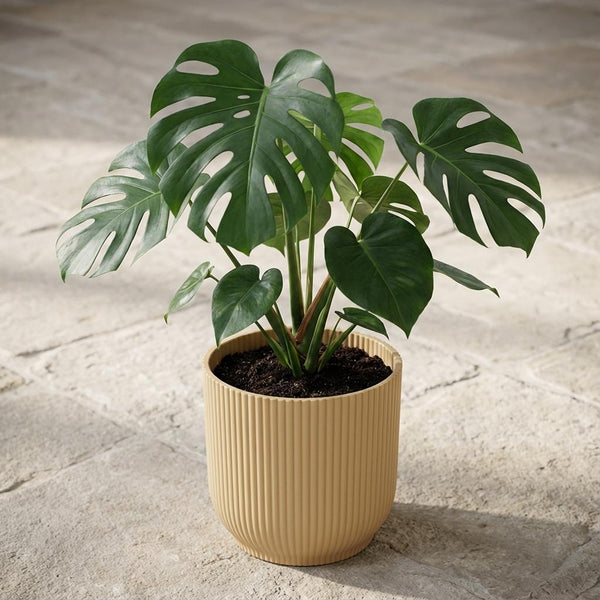 Elho Vibes Fold bloempot met ribbels, geel, Ø18 cm