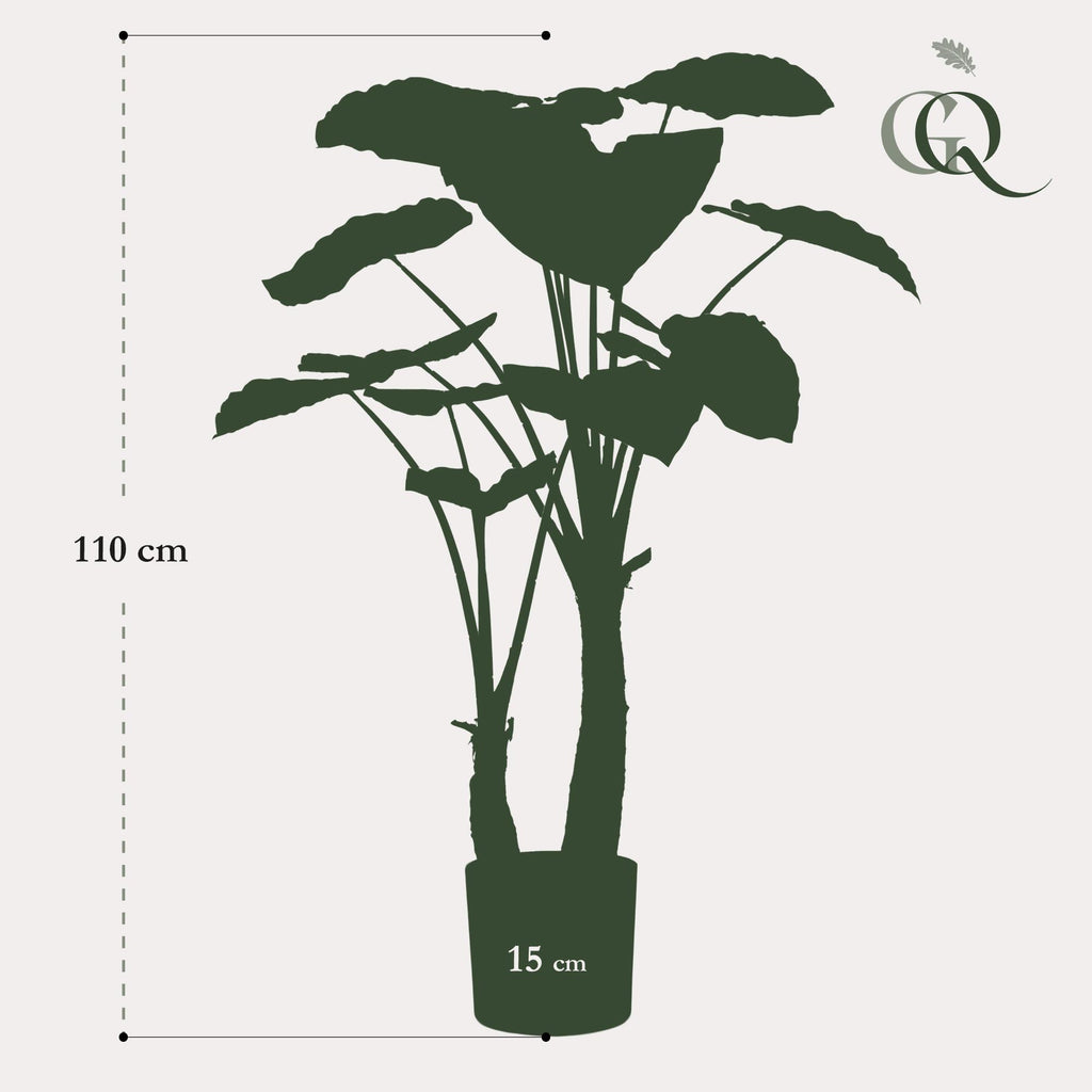 kunstplant - Alocasia - Olifantsoor, kenmerkend blad