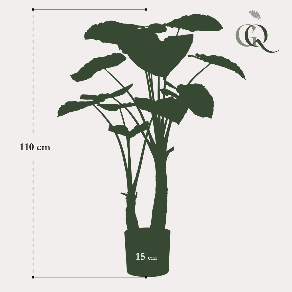 kunstplant - Alocasia - Olifantsoor, kenmerkend blad