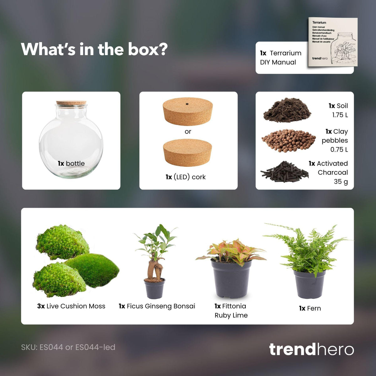 DIY Planten terrarium met licht - Bolder Bob Bonsai, kenmerkend blad