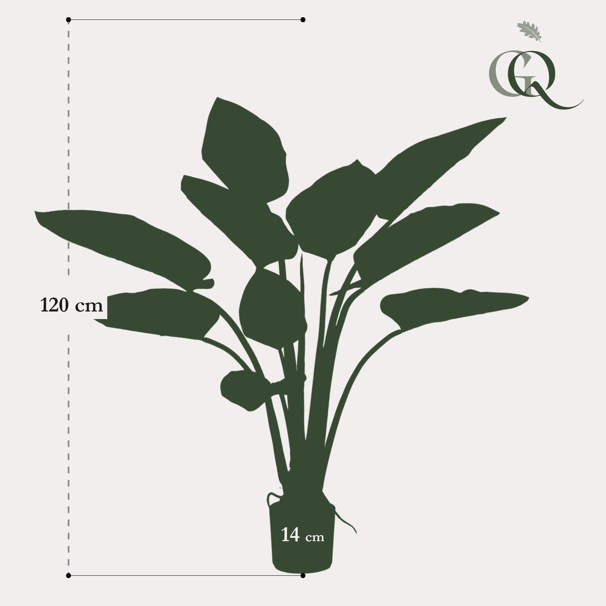 Productafbeelding van Pureplant