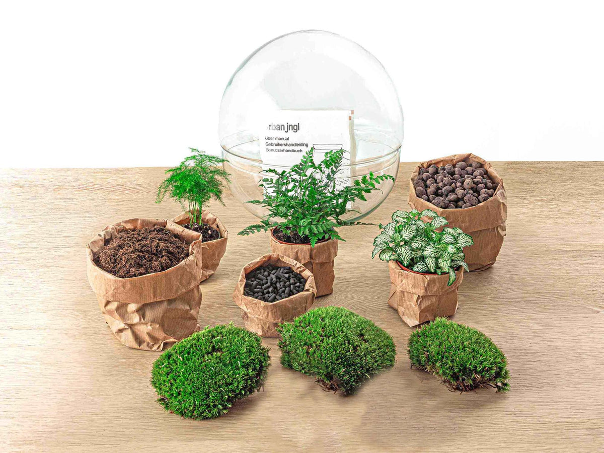 Detailfoto van DIY terrarium bolglas Dome XL, zonder gereedschap