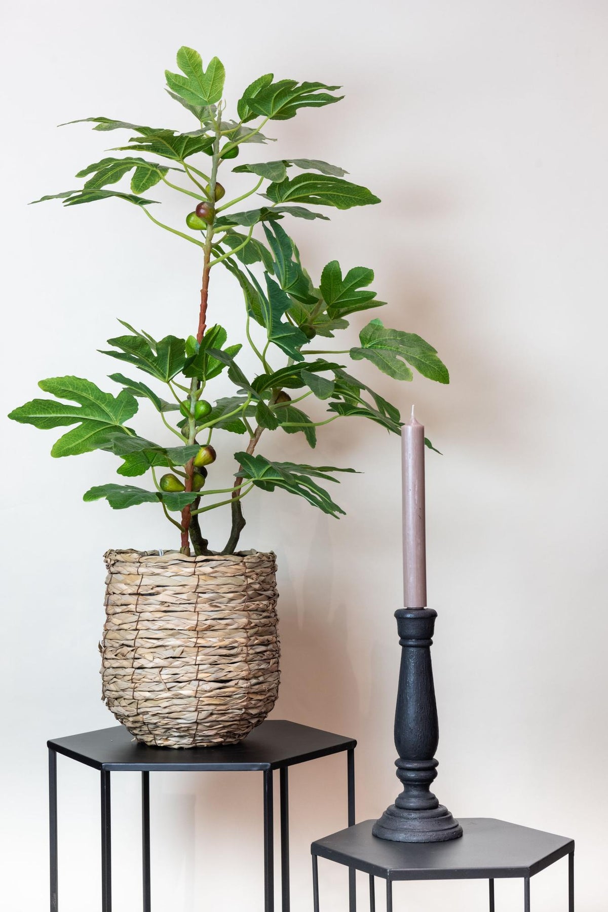 Productafbeelding van Pureplant