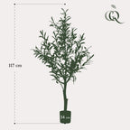 Productafbeelding van Pureplant