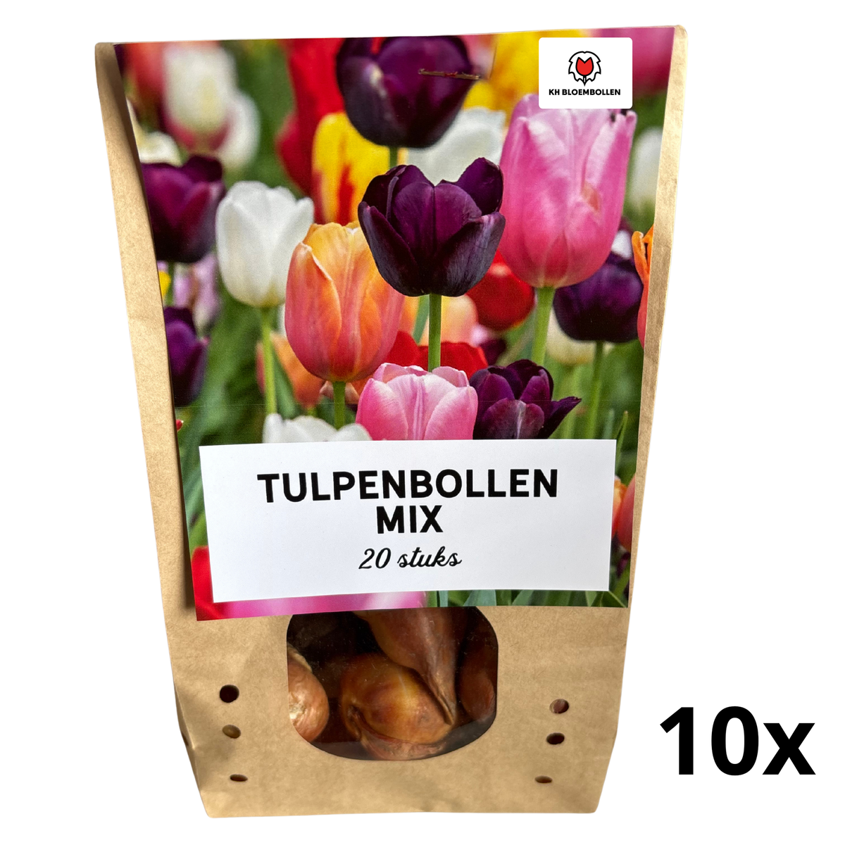 Tulpenbollen mix, kleurrijk, 10 zakjes van 20 stuks, plant in pot