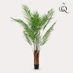 Productafbeelding van Pureplant