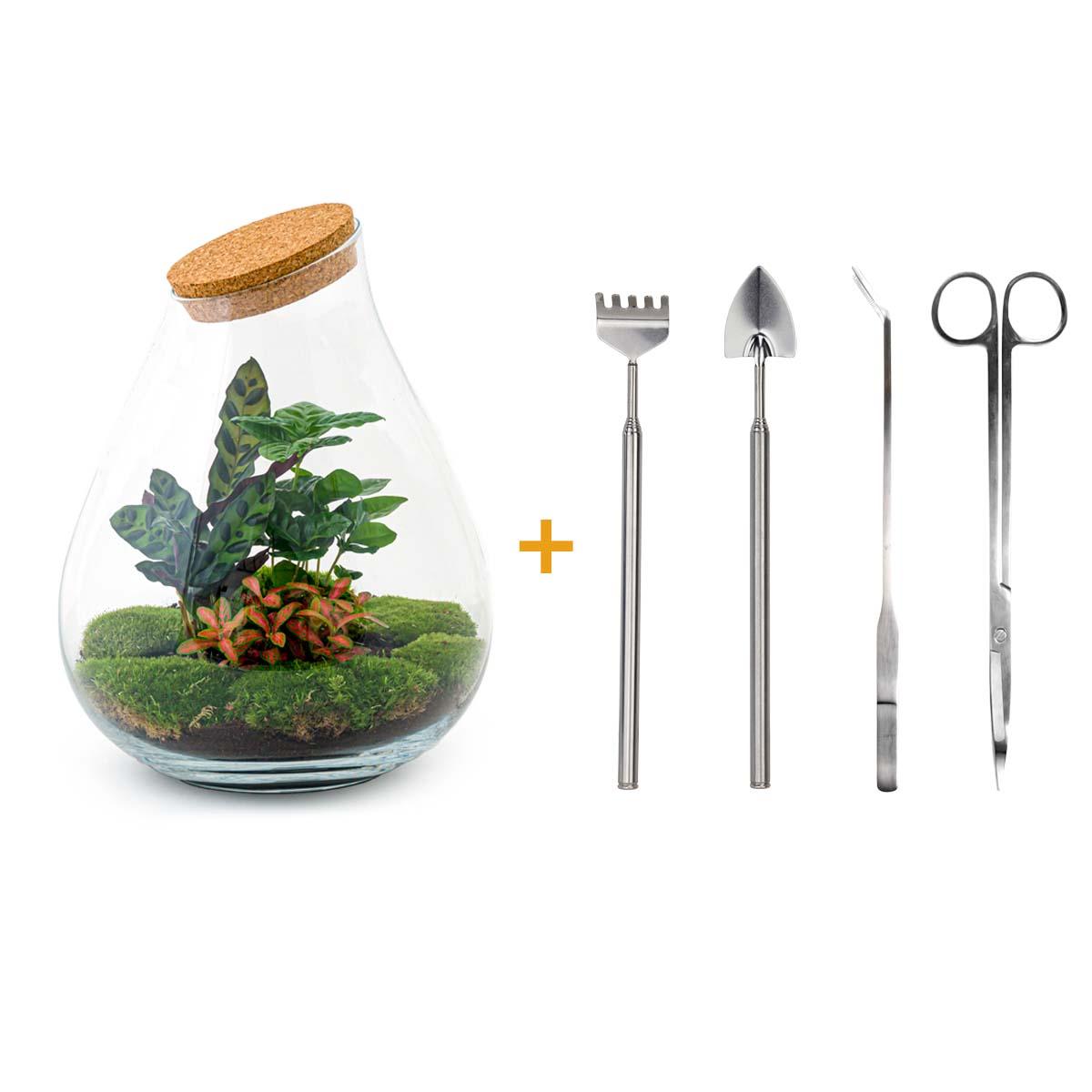 Productafbeelding van Pureplant