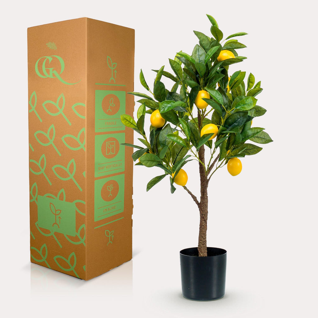 Productafbeelding van Pureplant