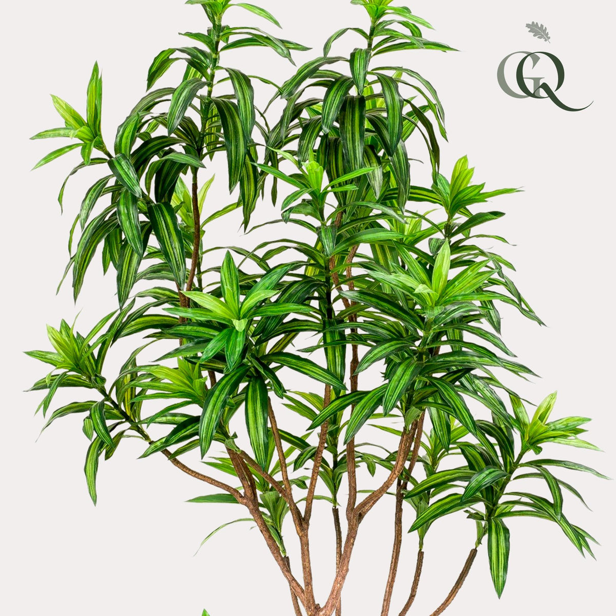 Productafbeelding van Pureplant