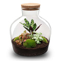 Productafbeelding van Pureplant
