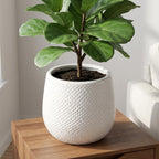 Pot Gabriel rond wit, plant in pot