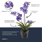 Orchidee Vanda kunstplant, detail van het blad