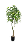 Productafbeelding van Pureplant
