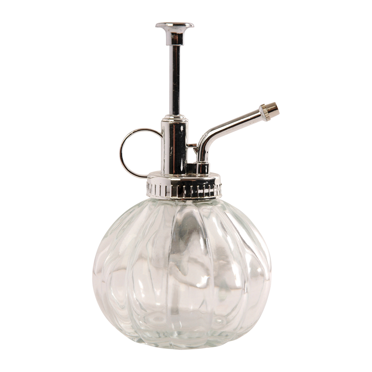 Plantensproeier glas, helder en zilver, 0,25 liter, H15,4 cm, plant in pot