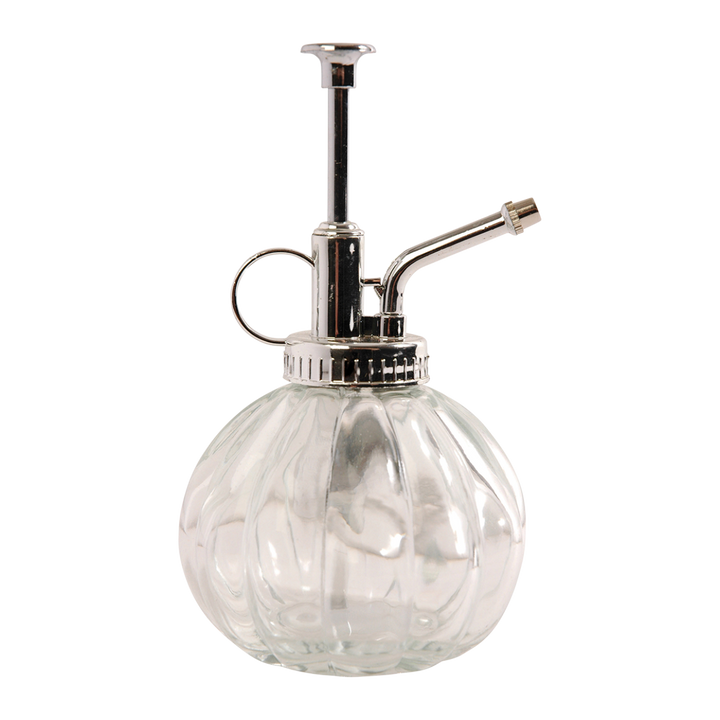 Plantensproeier glas, helder en zilver, 0,25 liter, H15,4 cm