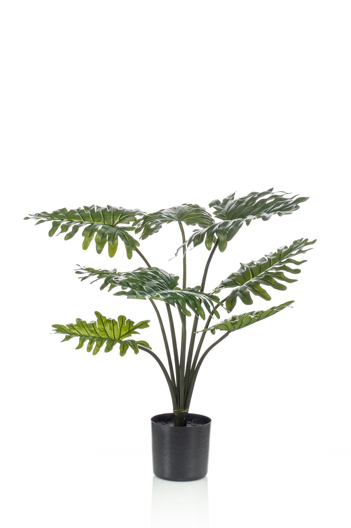 Productafbeelding van Pureplant