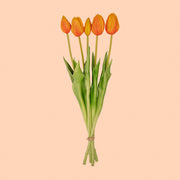 Tulpen boeket Oranje - 10 stuks - &