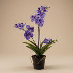 Orchidee Vanda kunstplant, kenmerkend blad