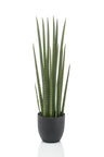 Kunstplant - Sanseveria Cylindrica - Vrouwentong