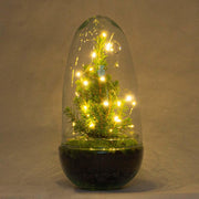 DIY terrarium - Egg Christmas - Kerst decoratie