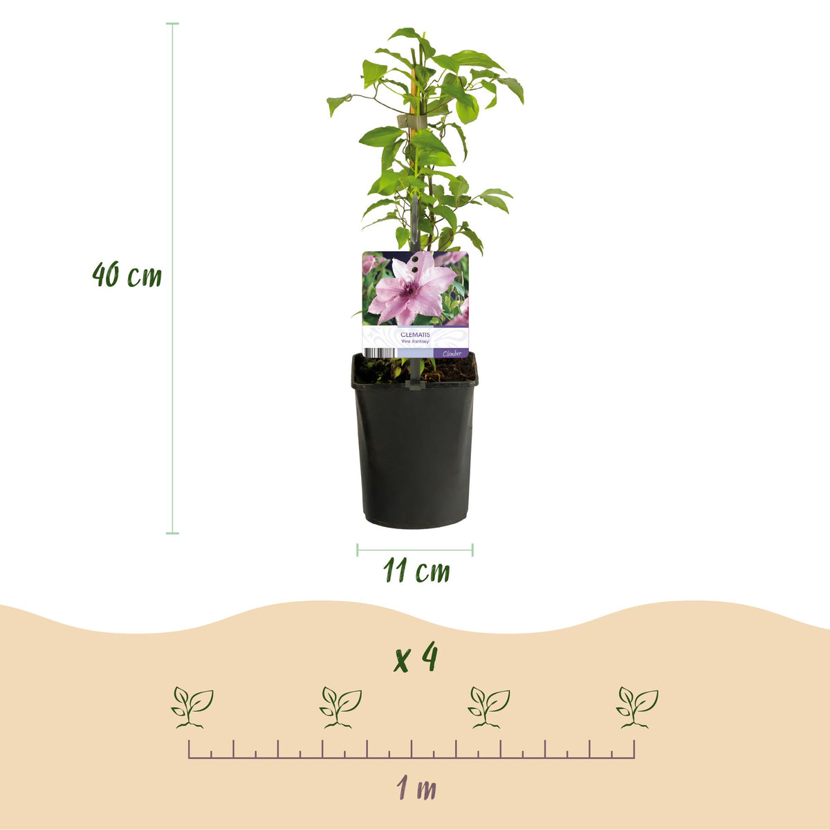 Productafbeelding van Pureplant