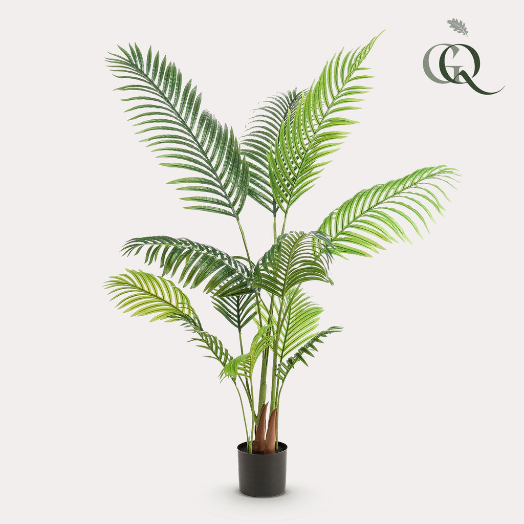 Productafbeelding van Pureplant