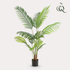 Productafbeelding van Pureplant