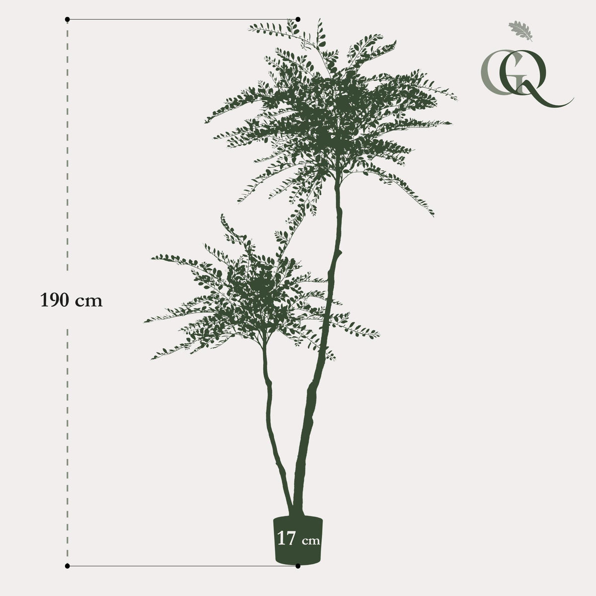 kunstplant - Sophora tree  - Honingboom, kenmerkend blad