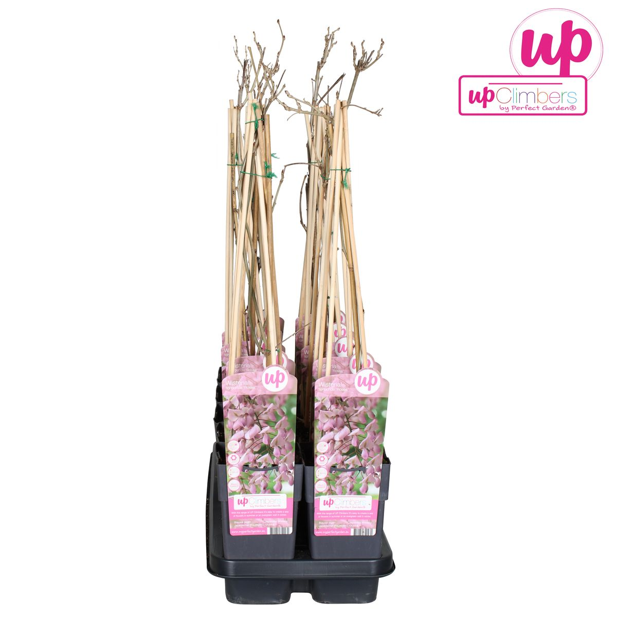 Productafbeelding van Pureplant