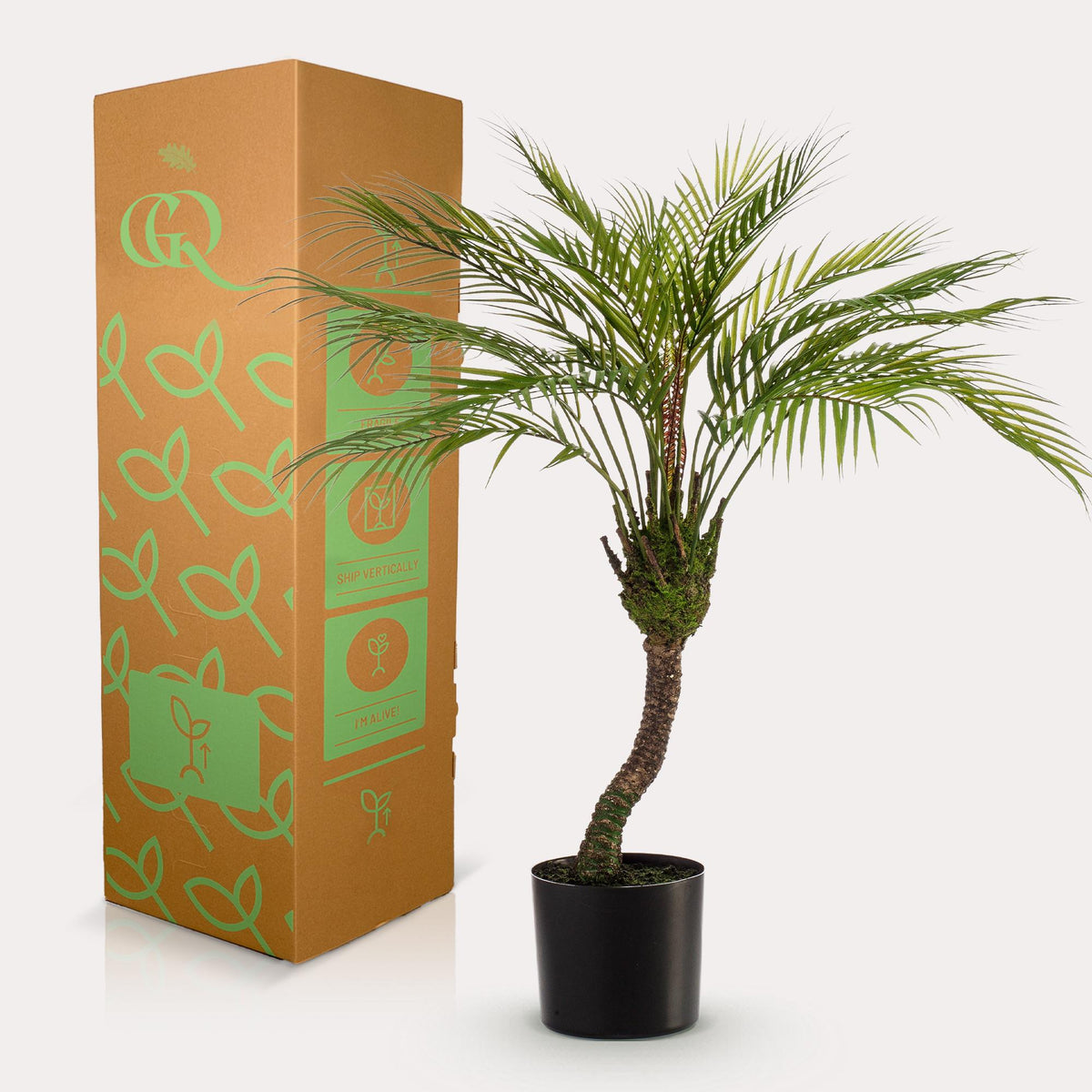 Kunstplant Chamaedorea, bergpalm met veerachtig blad, 85 cm, groene bladeren