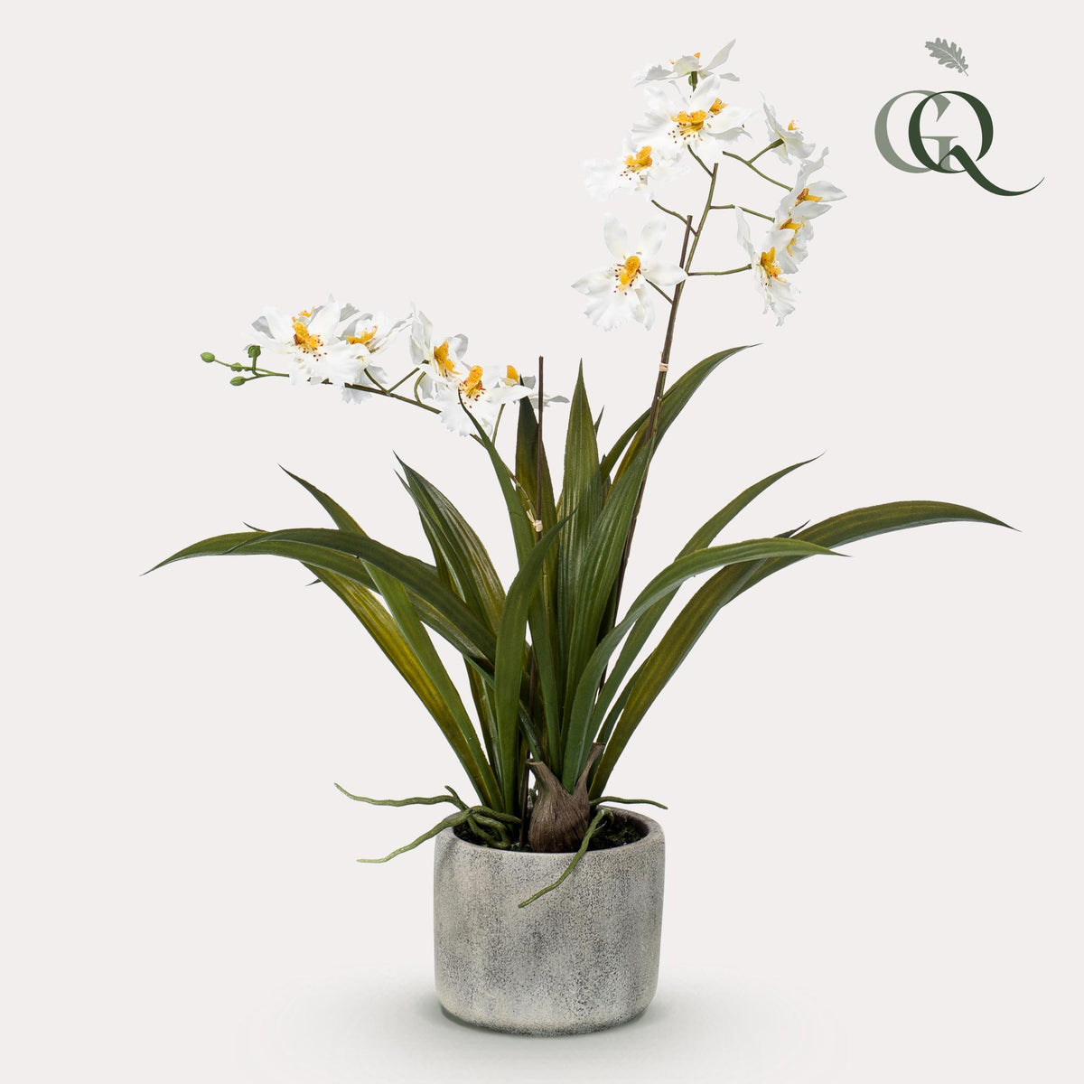 Kunstplant - Orchidee - Wit, plant in pot