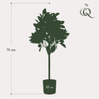 Productafbeelding van Pureplant