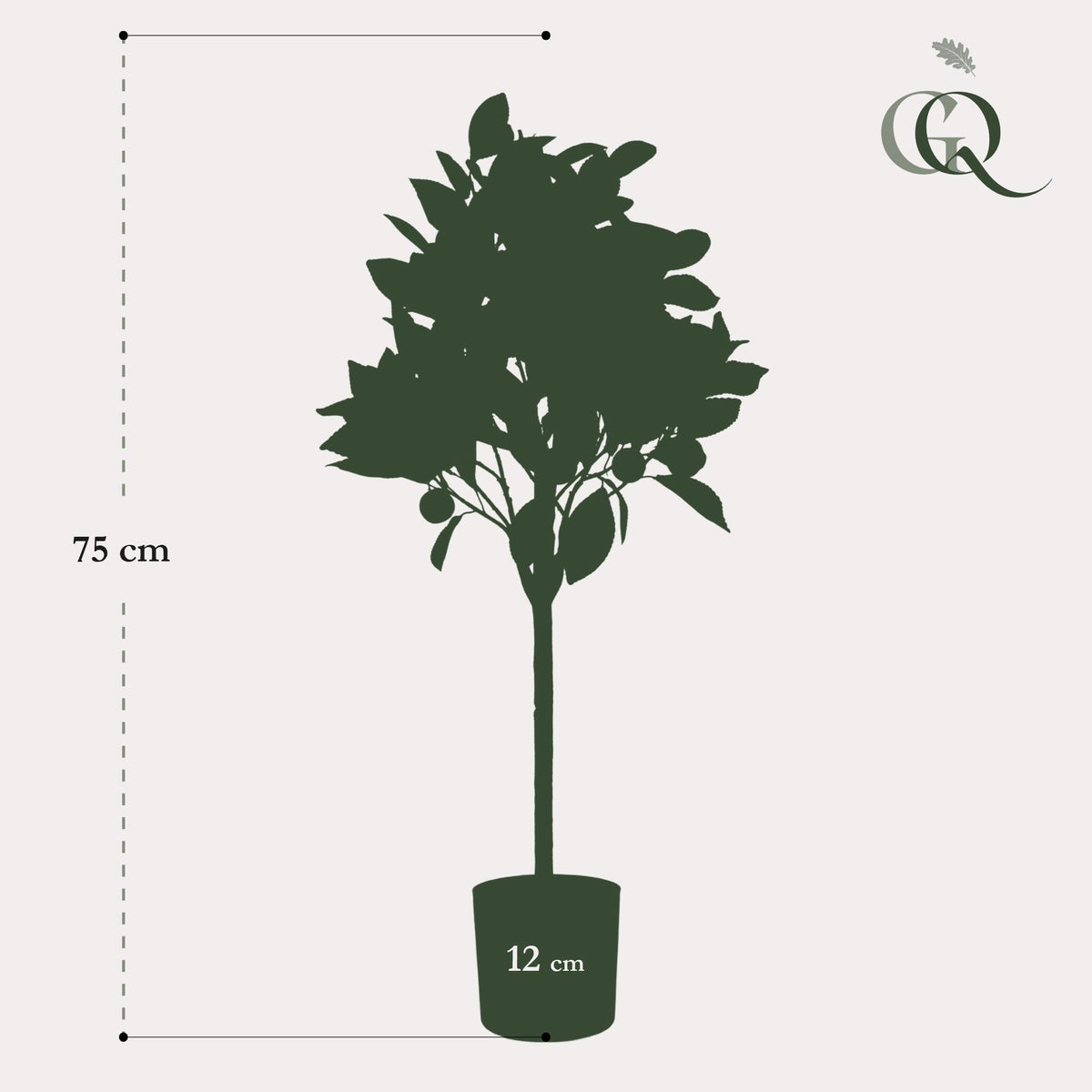Productafbeelding van Pureplant