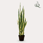 Kunstplant - Sanseveria Trifasciata - Vrouwentong