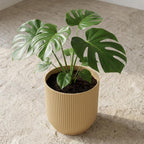 Elho Vibes Fold bloempot met ribbels, geel, Ø14 cm, detail van het blad
