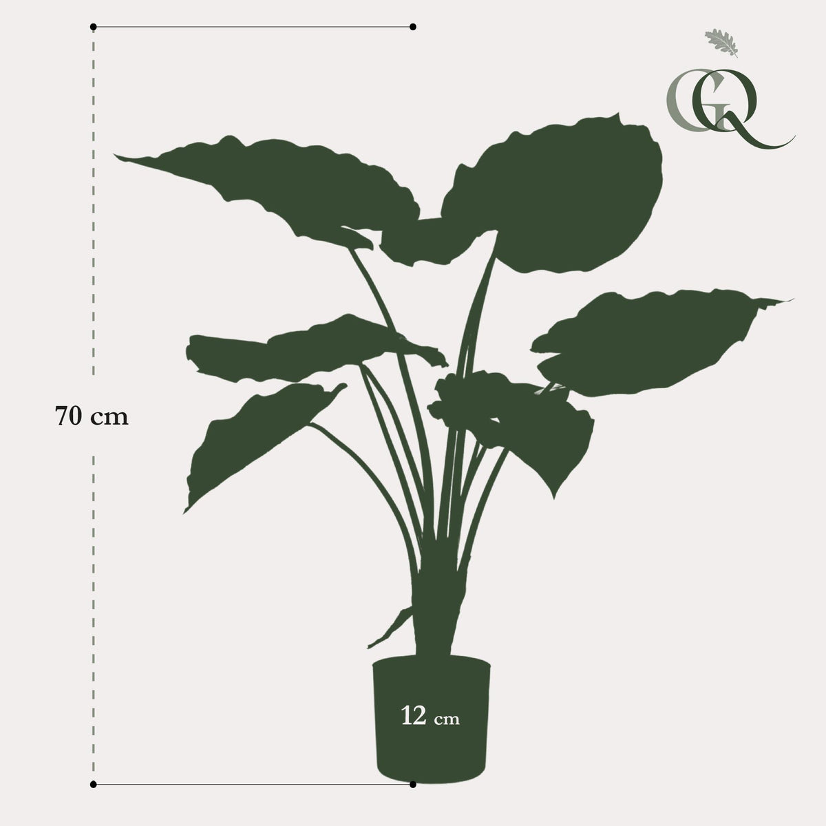 Kunstplant Alocasia, olifantsoor met pijlvormig blad, 70 cm, gezonde plant
