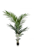 Productafbeelding van Pureplant