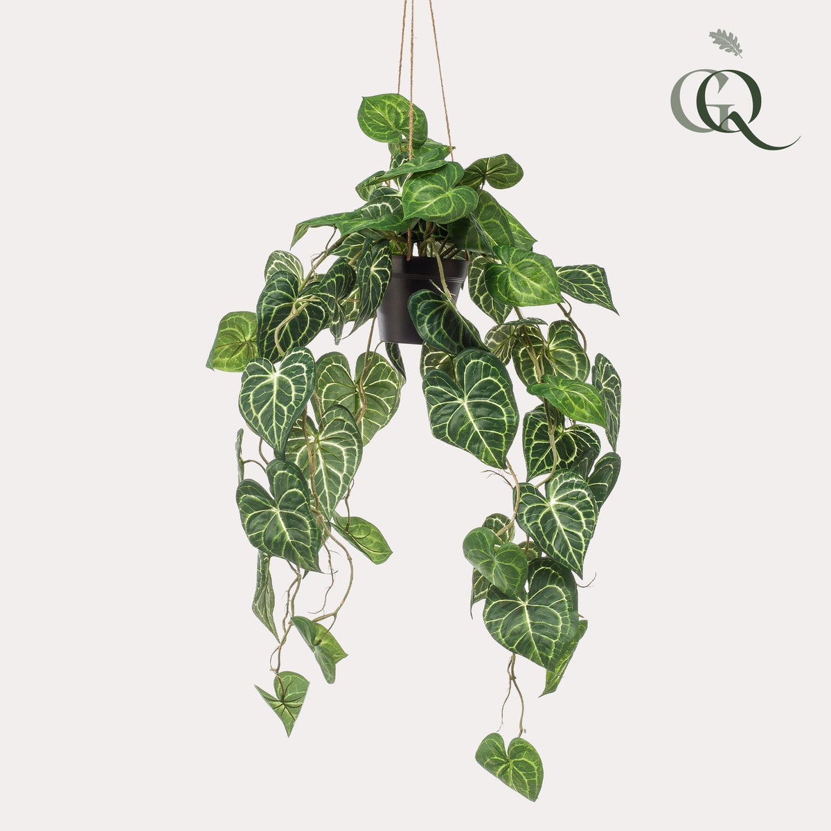 Productafbeelding van Pureplant