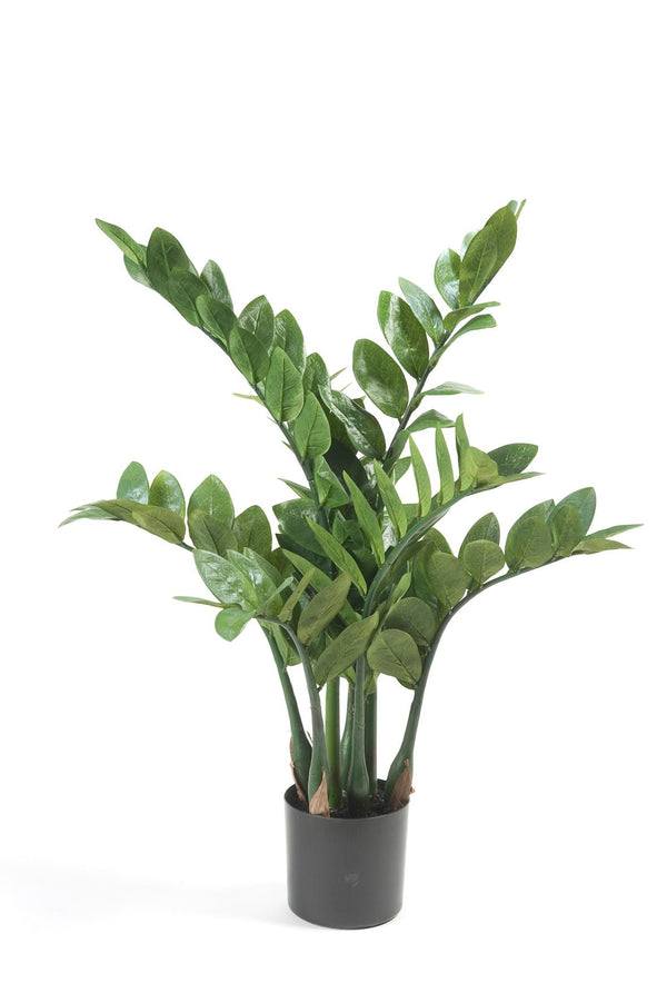 Kunstplant Zamioculcas kamerpalm, glanzend blad, 70 cm