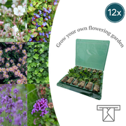 Plantenmix tray, kleurrijke verrassingsmix, 12 pluggen