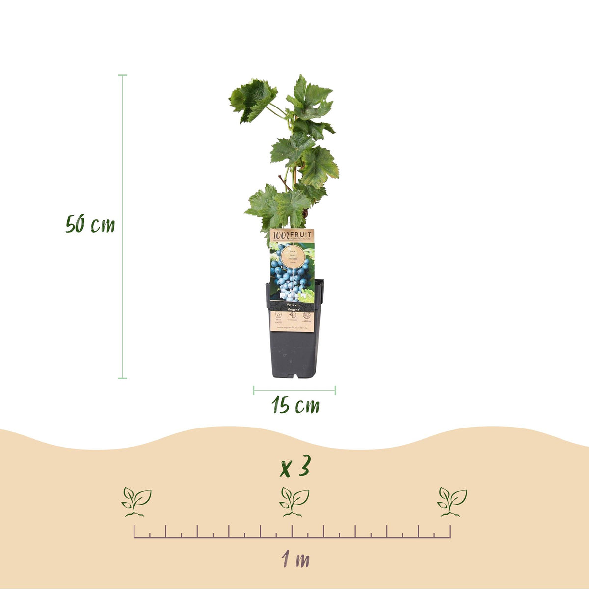 Productafbeelding van Pureplant