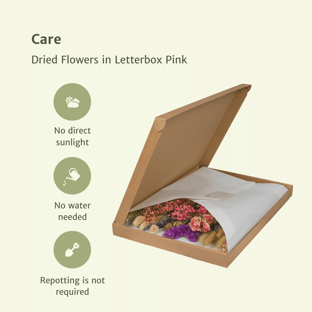 Detailfoto van Droogbloemen in Letterbox - Pink
